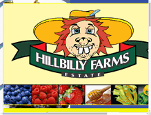 Tablet Screenshot of hillbillyfarms.com.au